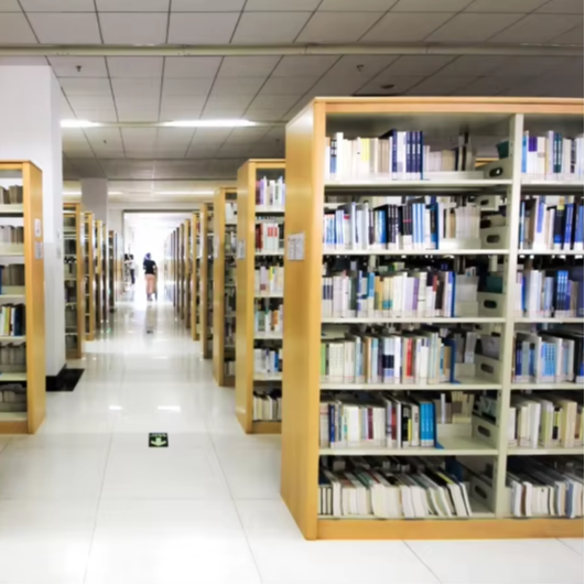 Home Office And Library - Rak Buku Dua Sisi Langsung dari