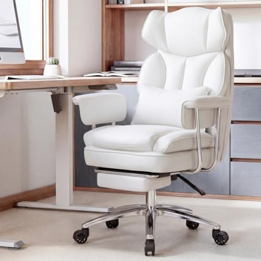 Kursi Kantor Eksekutif - Ergon - Home Office Desk ulasan dan harga